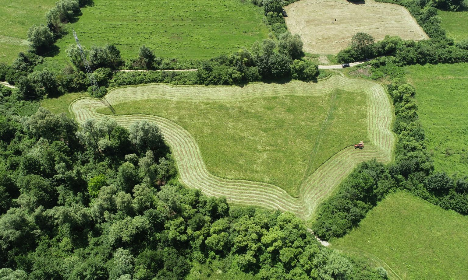 Invitation to tender: Procurement of a Consultants to provide thematic expertise for the preparation of the Transitional Plans