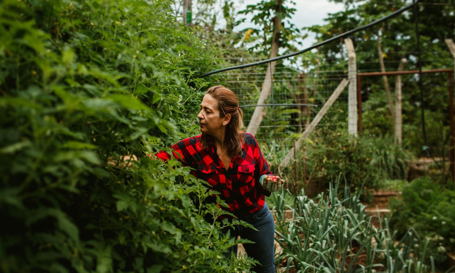 Why gender equality matters for agriculture in Bosnia and Herzegovina