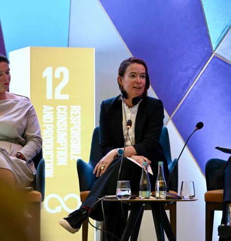 Spotlight on cities at the SDG Week in Bosnia and Herzegovina