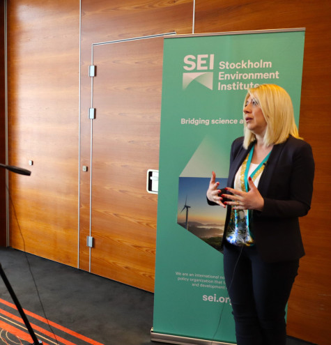Interviews with BiH ESAP Steering Board members