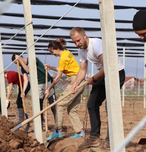From Swedish farms to Bosnian valleys - how to boost sustainable farming