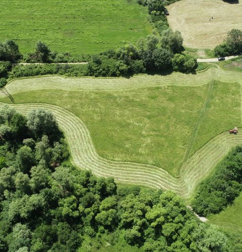 Invitation to tender: Procurement of a Consultants to provide thematic expertise for the preparation of the Transitional Plans