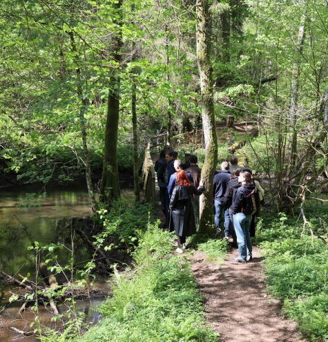 Sustainable agriculture in Sweden: lessons for BiH communities